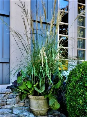 Seasonal Container Gardening: Fall and Winter — Landscape Design project by Colonial Hills