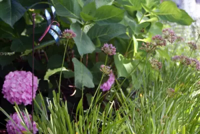Green Room Landscape - Landscape Construction in Harbor Springs, MI