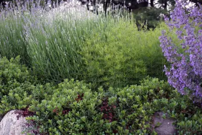 Green Room Landscape - Landscape Construction in Harbor Springs, MI