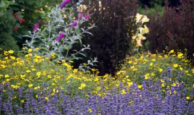 Green Room Landscape - Landscape Construction in Harbor Springs, MI