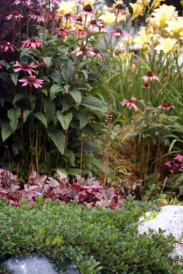 Green Room Landscape - Landscape Construction in Harbor Springs, MI