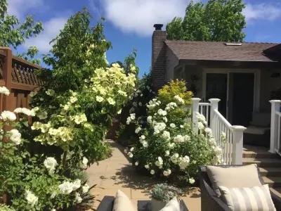 Haven Home and Garden Design - Patio Design & Installation in Alameda, CA