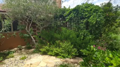 The Naturalists Landscape Design & Construction - Carpentry & Woodworking in Lubbock, TX