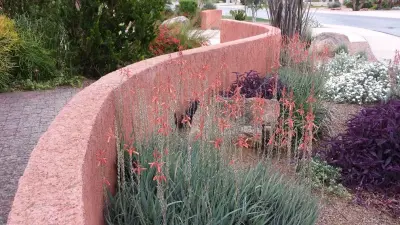 Exterior Charm — Landscape Design project by Living Rooms Landscape Design