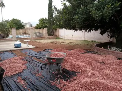 Landscaping Authority, LLC - Tree & Shrub Care in Phoenix, AZ