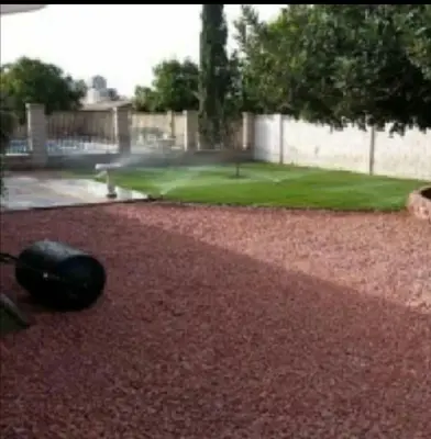 Landscaping Authority, LLC - Tree & Shrub Care in Phoenix, AZ