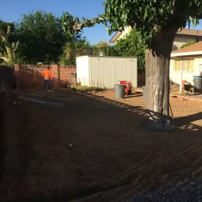 Landscaping Authority, LLC - Tree & Shrub Care in Phoenix, AZ