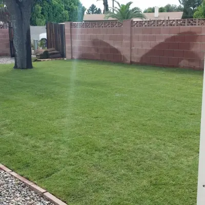 Landscaping Authority, LLC - Tree & Shrub Care in Phoenix, AZ