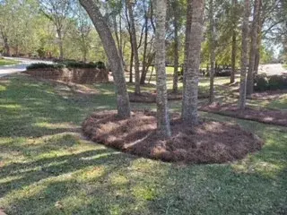 DC Lawn & Landscape - Landscape Design in Fairhope, AL