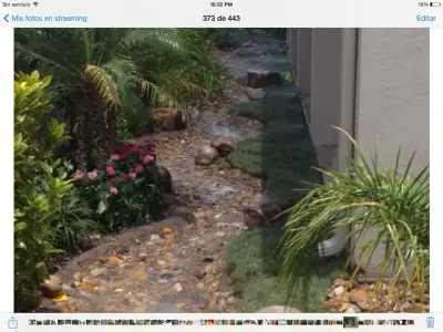 Rain Hunters - Landscape Construction in Pharr, TX