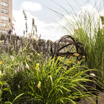 Christian Duvernois Landscape/Studio - Garden Remodeling in New York, NY
