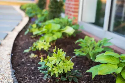 Diverse Vision — Landscape Design project by EScape Landscape Design