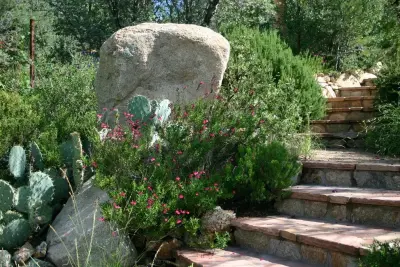 Landscapes for Life LLC - Landscape Design in Prescott, AZ