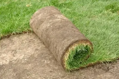 Equinox Landscaping Inc - Pest Control Services in Swisshome, OR