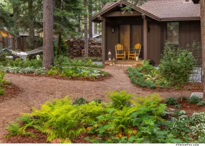 Tahoe Landscape Architecture - Landscape Construction in Truckee, CA