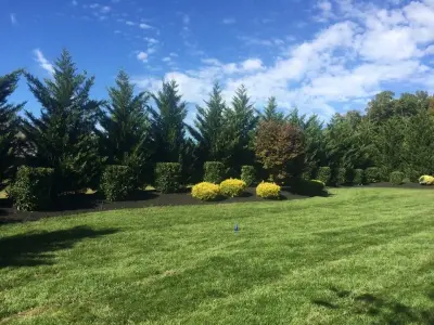 Wadescapes - Landscape Construction in Clinton, TN