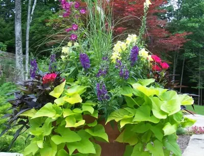 Landscape Logic - Patio Design & Installation in Charlevoix, MI