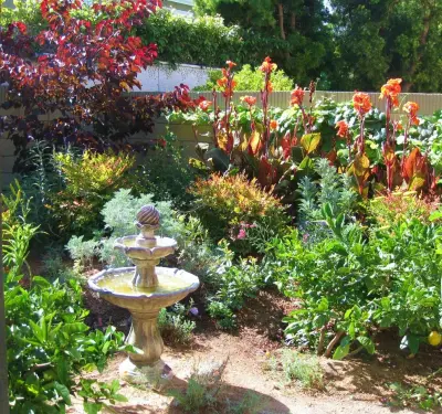 H2 XERO Landscape Design - Landscape Design in Aliso Viejo, CA