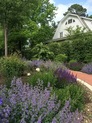 Nord Summit — Landscape Design project by Colonial Hills
