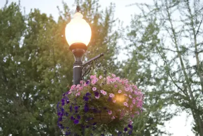 Rozelle Lawn & Landscape - Landscape Construction in Fort Wayne, IN