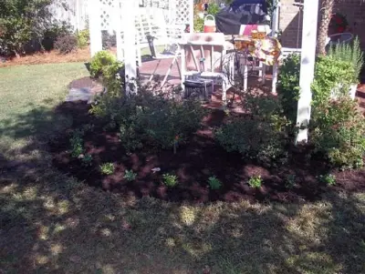 Mr Bill's Landscaping Inc - Tree & Shrub Care in North Topsail Beach, NC