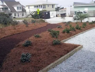 Mr Bill's Landscaping Inc - Tree & Shrub Care in North Topsail Beach, NC