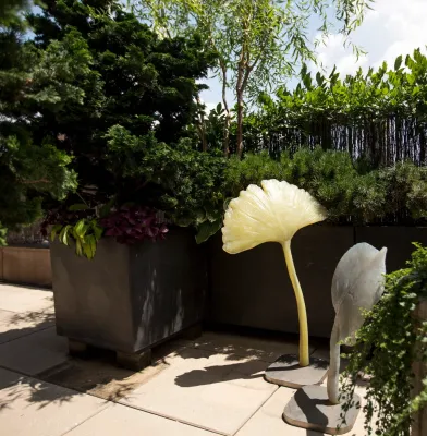 Wrap-Around Terrace by Christian Duvernois Landscape/Studio