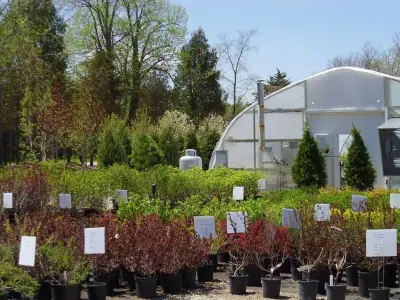 Timberline Landscapes and Jessie's Garden - Landscape Design in Green Bay, WI