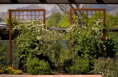 Design Collaborations - Design-Build Services in Tucson, AZ