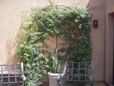 Desert Concepts Landscape & Design - Tree & Shrub Care in Wickenburg, AZ