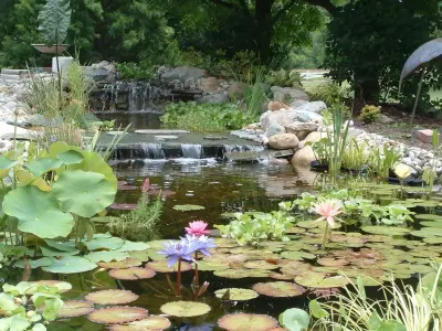 Five Seasons Landscape Management - Landscape Construction in Reynoldsburg, OH