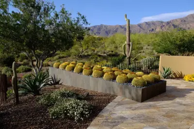 Earth Art Landscape - Landscape Design in Phoenix, AZ