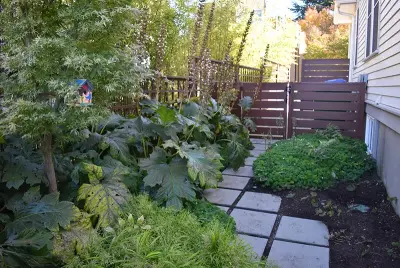 Susanne O'trimble Landscape Design - Design-Build Services in Tucson, AZ