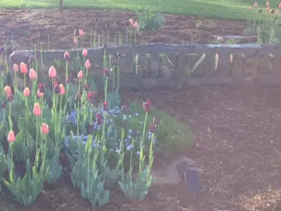 River City Lawnscape Inc - Landscape Construction in Holmen, WI