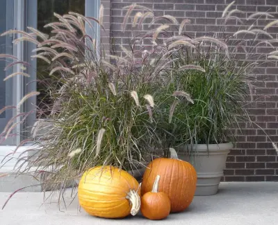 River City Lawnscape Inc - Landscape Construction in Holmen, WI