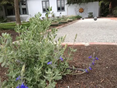 Quercus Landscape Design - Landscape Design in Springville, CA