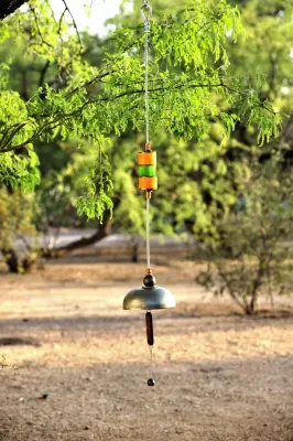 Bells and Bird Feeder in Tucson — Landscape Design project by Design Collaborations