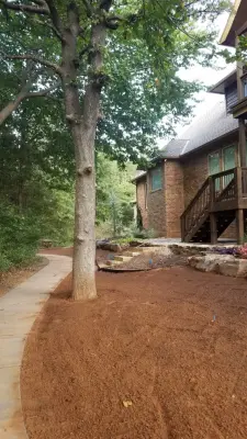 Davis Garden & Landscape - Tree & Shrub Care in Edmond, OK