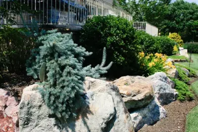 A&E Landscaping - Landscape Construction in Tallahassee, FL