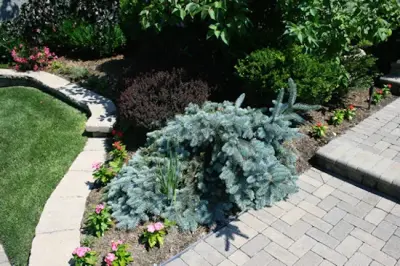 Landscaping Elements — Landscape Design project by A&E Landscaping