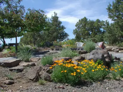 DAPPLED EARTH- designs to nurture life - Carpentry & Woodworking in Powell Butte, OR