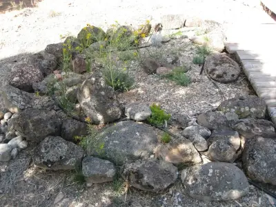Good Earth Design - Landscape Design in Hotchkiss, CO