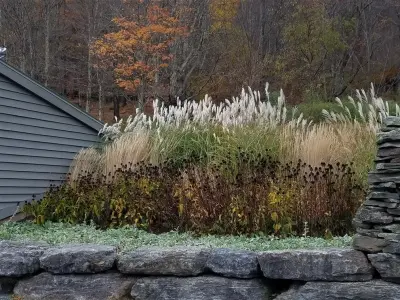 Zone4 Landscapes Ltd. - Landscape Design in Andes, NY