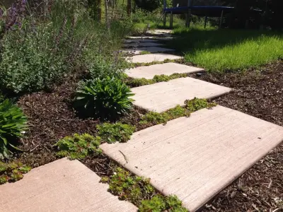 A Dye Design - Landscape Design in Telluride, CO