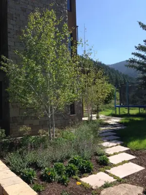 A Dye Design - Landscape Design in Telluride, CO