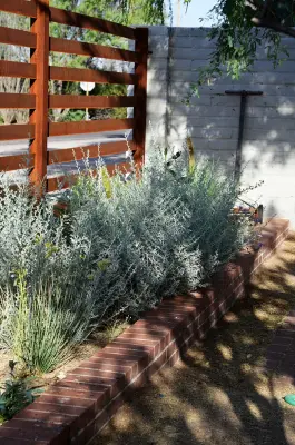 Red Bark Design, LLC - Design-Build Services in Tucson, AZ