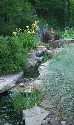 Landscape Solutions by Susan Murphy, LLC - Patio Design & Installation in Weston, CO