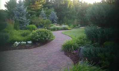Landscape Solutions by Susan Murphy, LLC - Patio Design & Installation in Weston, CO
