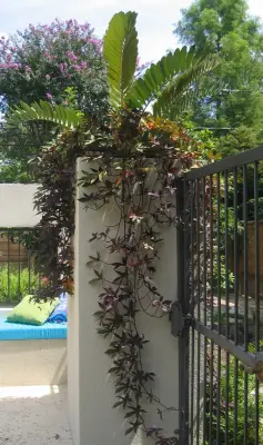 RH Factor Landscape Design - Landscape Construction in Houston, TX