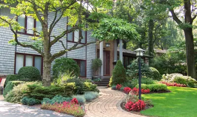 Ted Collins Tree & Landscape - Tree Planting & Transplanting in Victor, NY